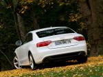Audi A5 Coupe 3.0 TDI Quattro 2007 года